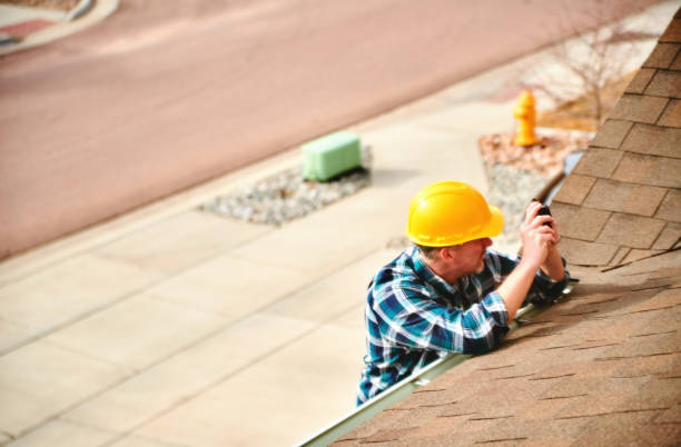 Best Roof Coating and Sealing  in Bridgeport, MI