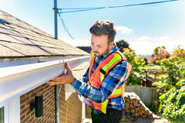 Best Roof Moss and Algae Removal  in Bridgeport, MI